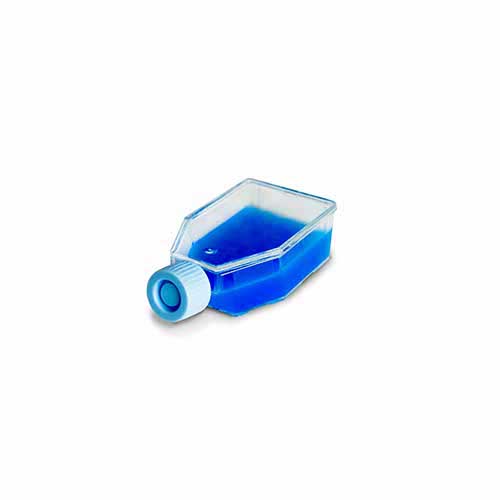 Frasco Para Cultivo De Células 25 CM2 Tampa Plug (S/filtro).10 UN/Pct