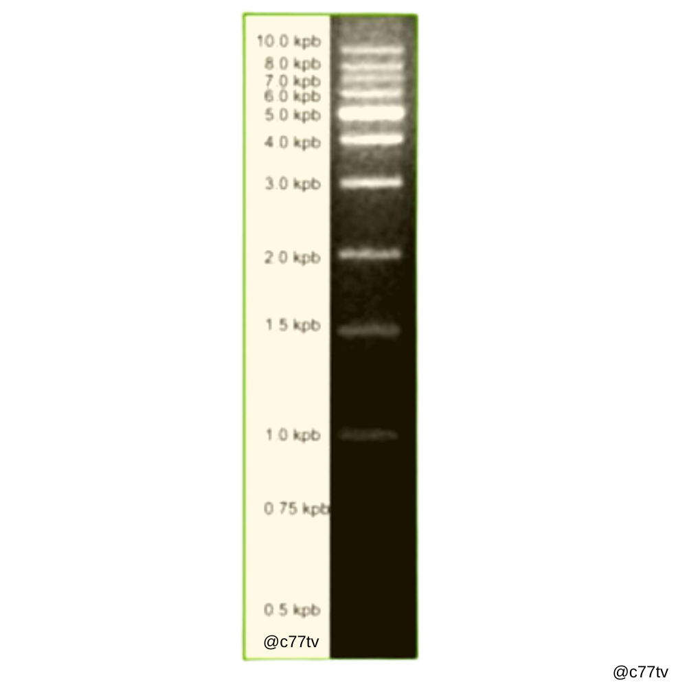 13-4004-01-c77tv.png