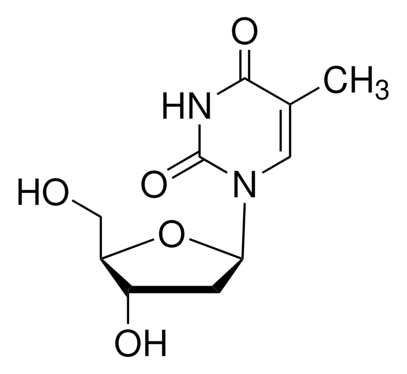 T1895-10G.png